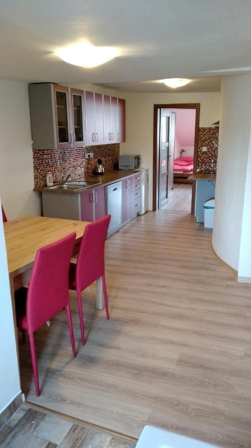 Apartmany Kukacci Hnizdo Benesov nad Ploucnici Buitenkant foto